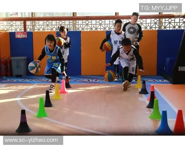 篮球硕的成长之路与未来展望探索篮球教育的无限可能性 篮球硕的成长之路与未来展望探索篮球教育的无限可能性