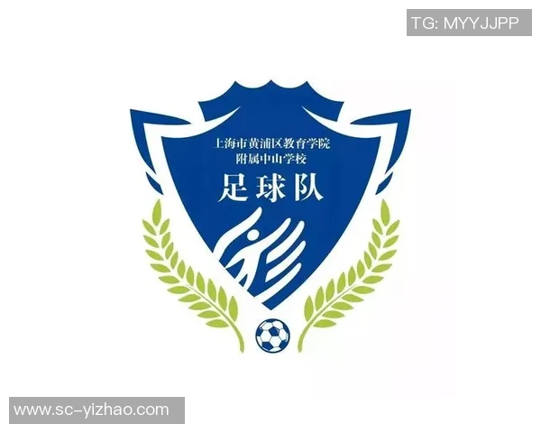 苏州足球装备市场分析与发展前景探讨助力地方足球产业升级