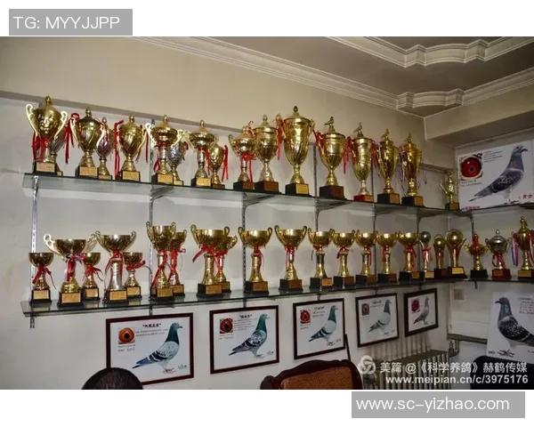 足球大师特维斯的传奇人生与辉煌成就回顾 足球大师特维斯的传奇人生与辉煌成就回顾